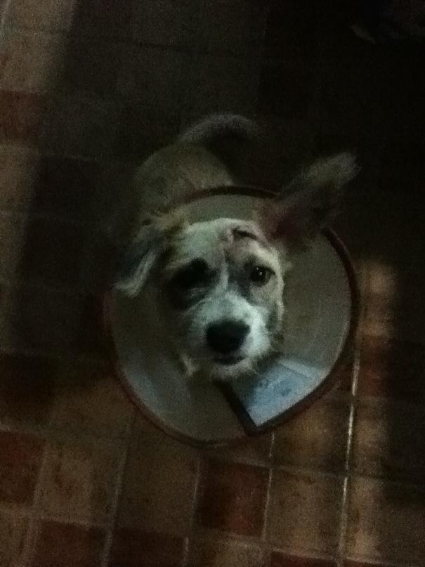 Ира Бевза фотография #37