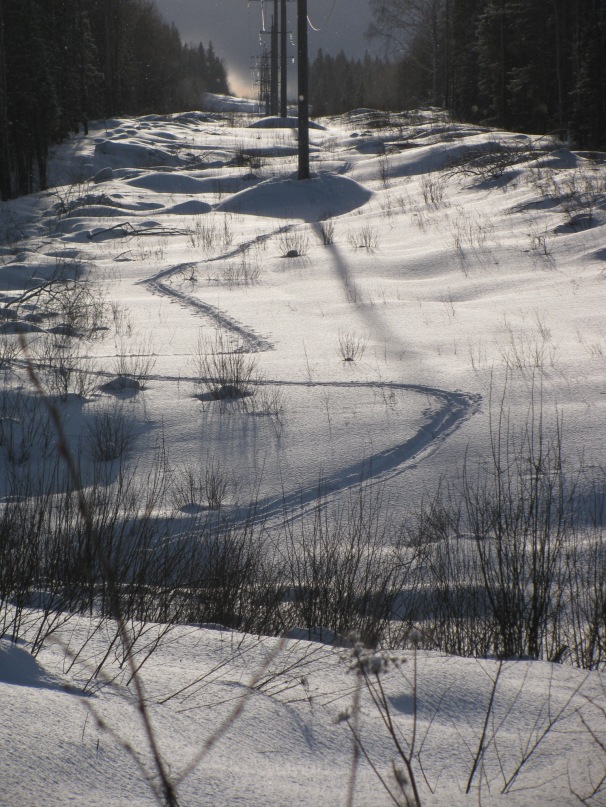 Иван Сероштан фотография #21