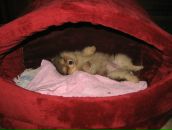 Фотография А Михаила