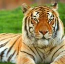 Віталік Юзвін фотография #29 (источник - https://vk.com/id98778421)