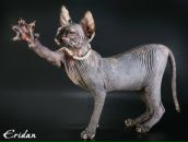 Фотография Куликов Денис