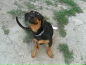 Фотография Юдина Сергея