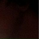 Наталія Ярославець фотография #49 (источник - https://vk.com/id88824316)