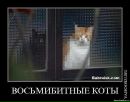 Аліна Котова фотография #39 (источник - https://vk.com/id6179769)