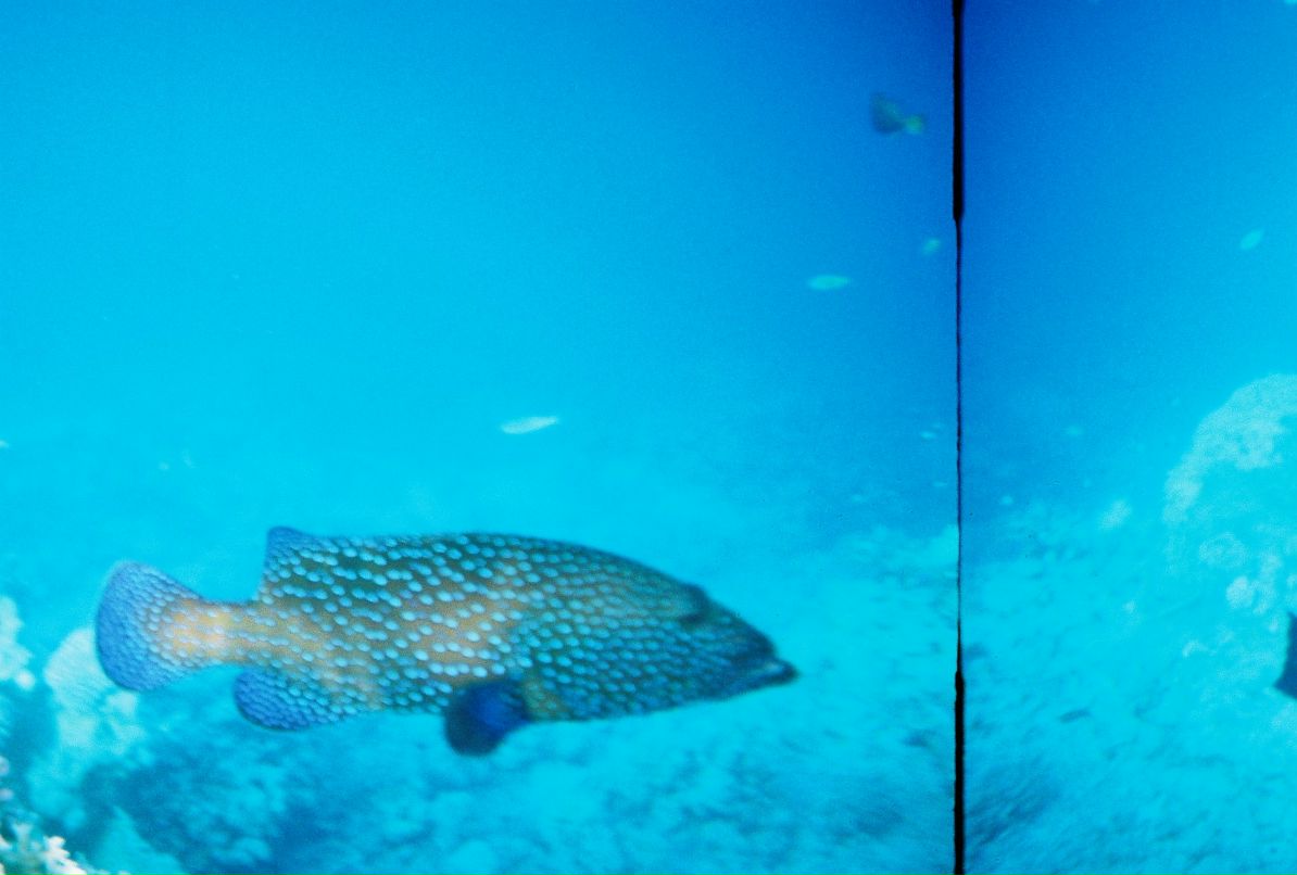 Александр Кадыкеев фотография #34