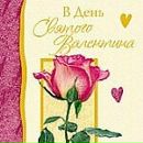 Марія Стецик фотография #44 (источник - https://vk.com/id137273706)