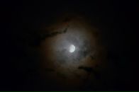 Андрей Петришак фотография #21 (источник - https://vk.com/id15443400)