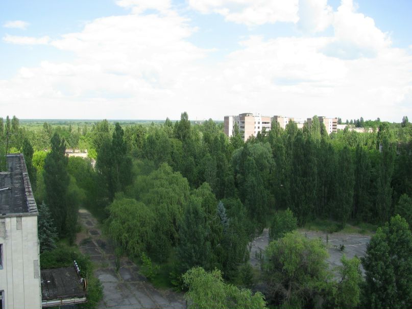 Александр Никитенко фотография #41