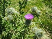 Фотография Сигаевой Елены