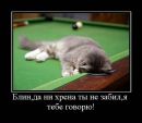 Фотография Евсеева Алексея