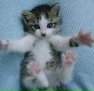 Фотография Шаталовой Ирины