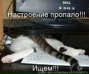 Фотография Наталья Старикова