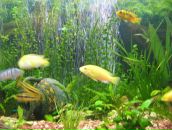 Андрій Ордаш фотография #12 (источник - https://vk.com/id28930375)