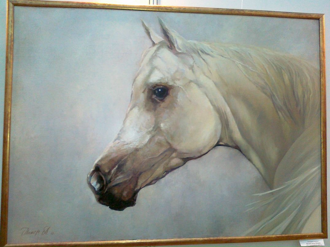 Григорий Сусеков фотография #46