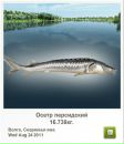 Вадім Горковенко фотография #25 (источник - https://vk.com/id132061658)