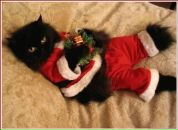 Оля Ткаченко фотография #30 (источник - https://vk.com/id1748957)