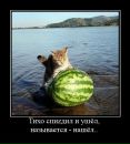 Міша Вознюк фотография #48 (источник - https://vk.com/id34819083)