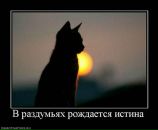 Фотография Силаевой Елены