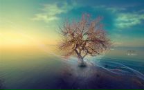 Фотография Медведя Эдика