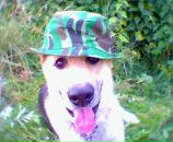 Андрій Давидюк фотография #12 (источник - https://vk.com/id100078032)