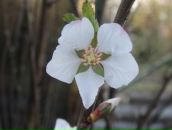 Фотография Золотовой Ирины