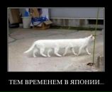 Женя Корінь фотография #50 (источник - https://vk.com/id7926043)