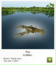 Андрій Білий фотография #2 (источник - https://vk.com/id44617408)