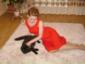 Фотография Соломахин Анатолий