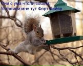 Юра Нидаев фотография #36 (источник - https://vk.com/id75568634)