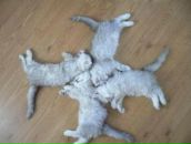 Фотография Мокина Вячеслава