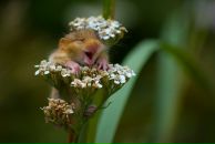 Фотография Зиннатуллин Расуль