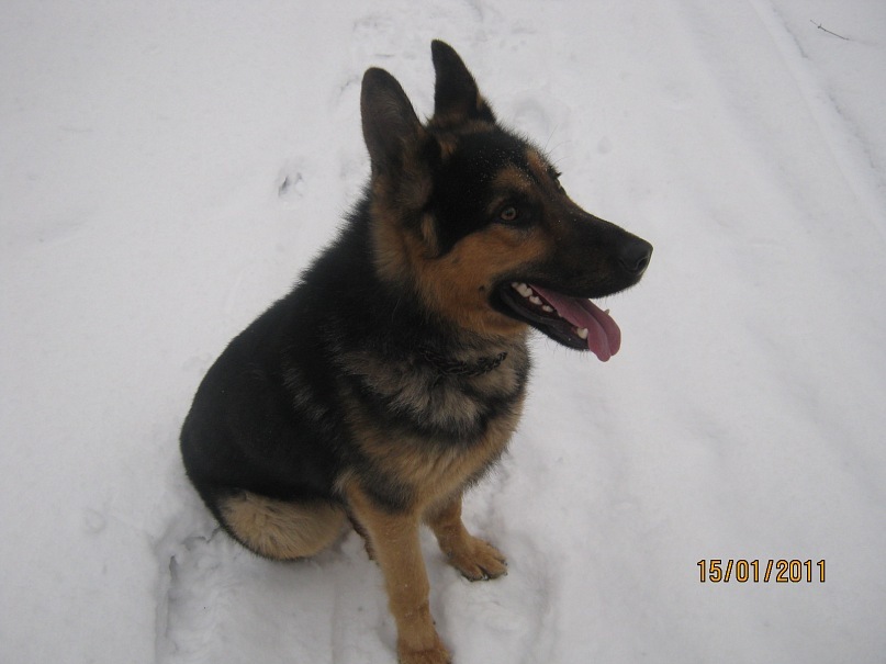 Дима Пикуль фотография #42