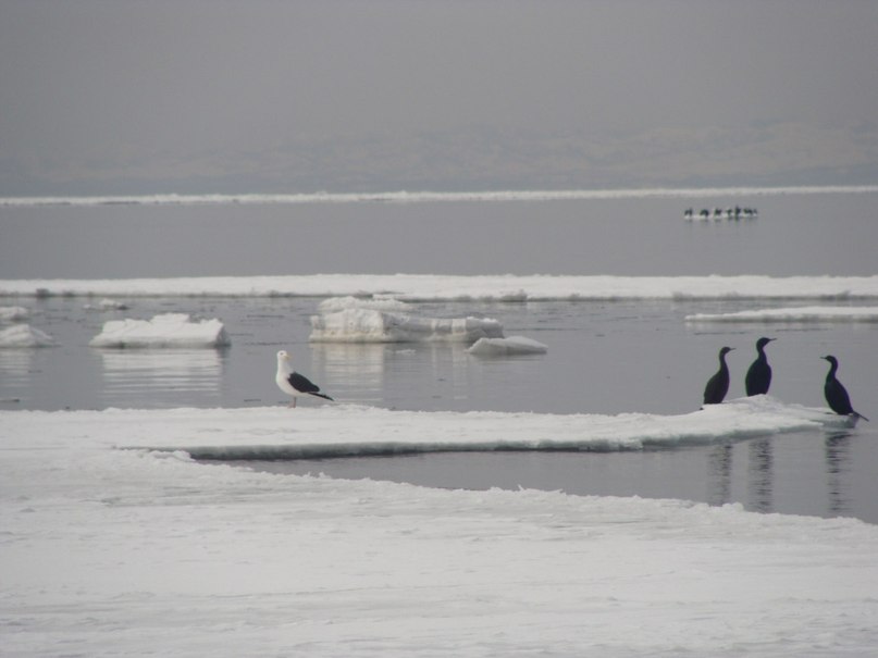 Антон Осипов фотография #40