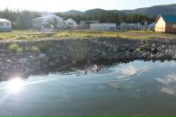 Дмитрий Ушаков фотография #20 (источник - https://vk.com/id2678397)