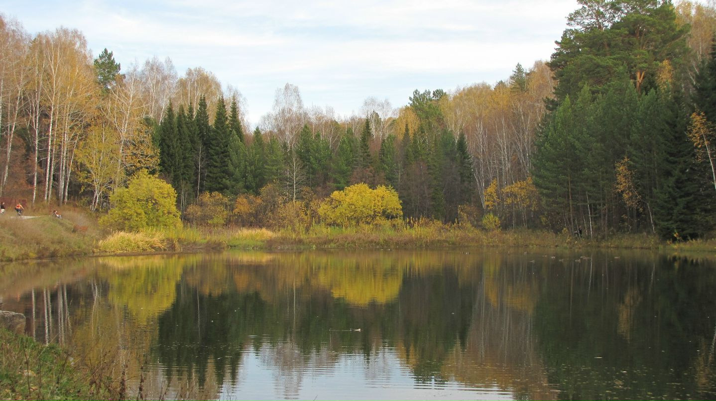 Елена Душка фотография #34