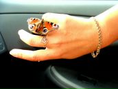 Фотография Весны Девочки