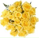 Марічка Кликоцька фотография #15 (источник - https://vk.com/id107635625)