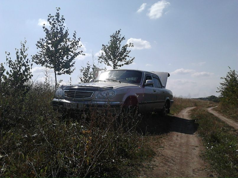 Дмитрий Беляков фотография #42