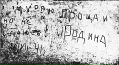 Фотография Мосеева Дениса