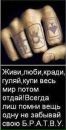 Zah1d Kam_chatka фотография #3 (источник - https://vk.com/id148071112)