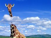 Фотография Кузьминой Полины