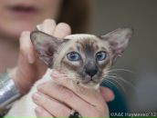 Фотография Буйновской Натальи