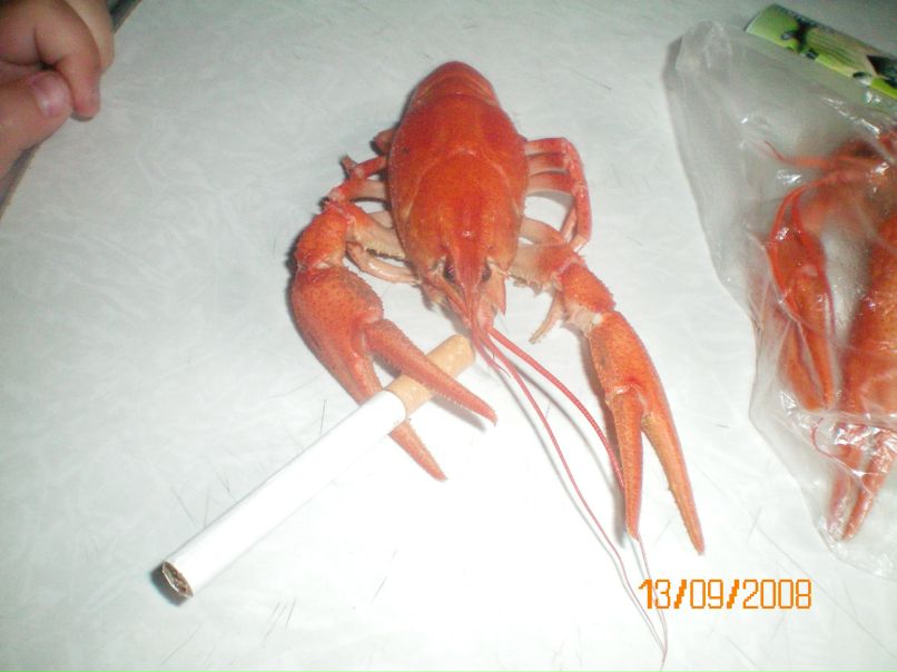 Егор Пашков фотография #39