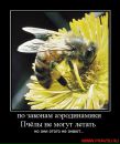 Сергій Зеленько фотография #14 (источник - https://vk.com/id93324979)