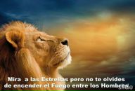 Фотография Армаш Елены