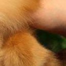 Діма Стоцький фотография #14 (источник - https://vk.com/id78186447)