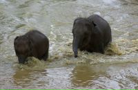 Даша Дашина фотография #10 (источник - https://vk.com/id2891457)