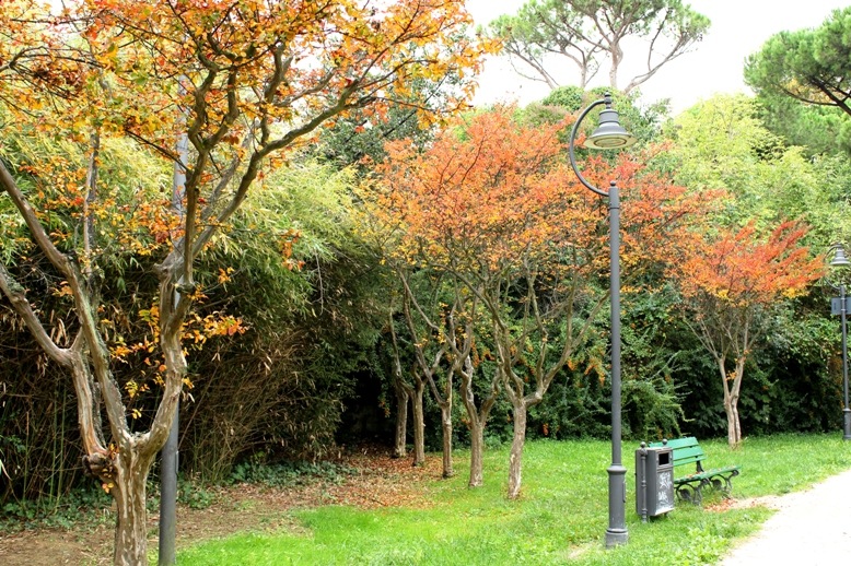 Сергей Савченко фотография #36