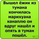 Ігор Стельмащук фотография #7 (источник - https://vk.com/id150747437)