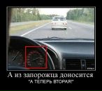Дмитрий Зацепин фотография #45 (источник - https://vk.com/id2664635)